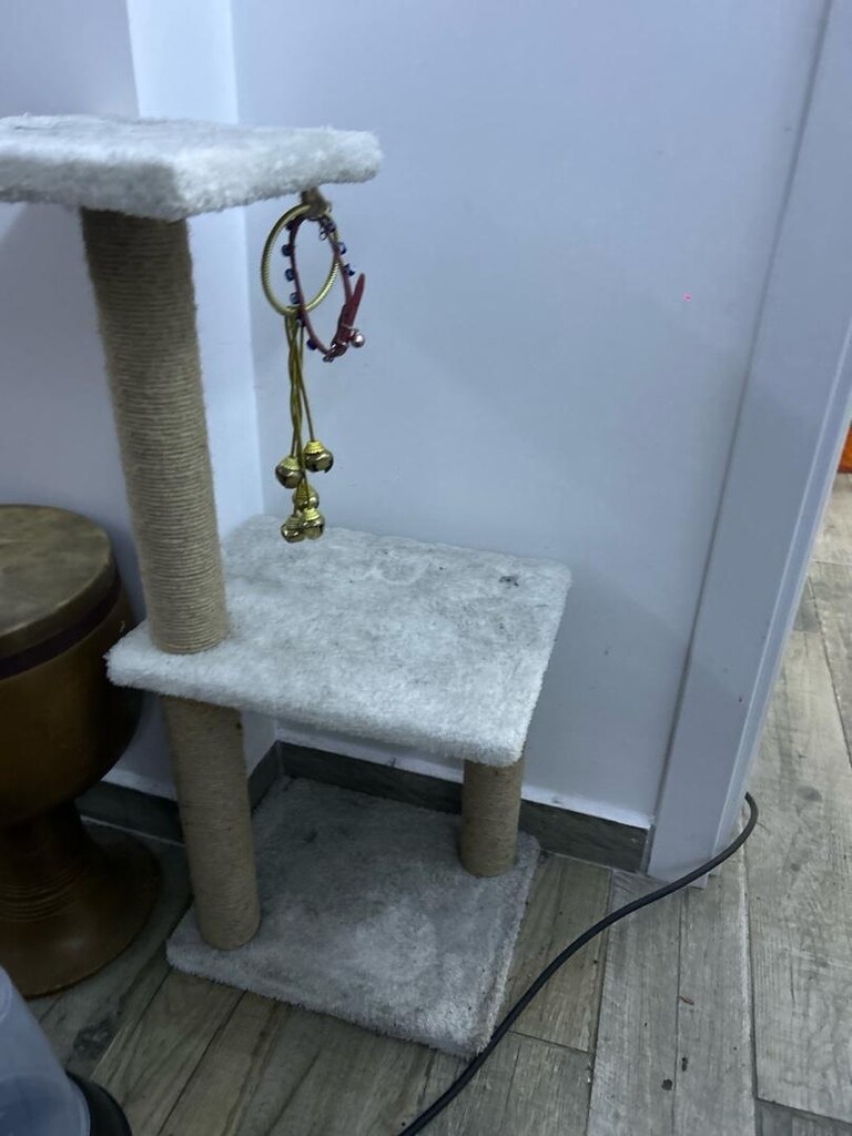 kedi çantası ve ürünleri - 7