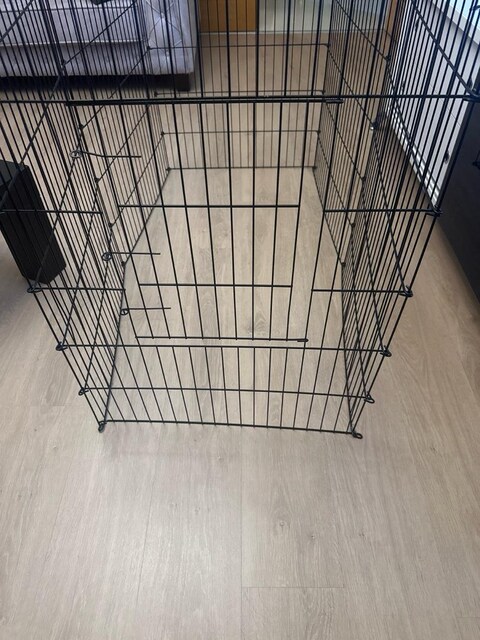 Köpek Çiti