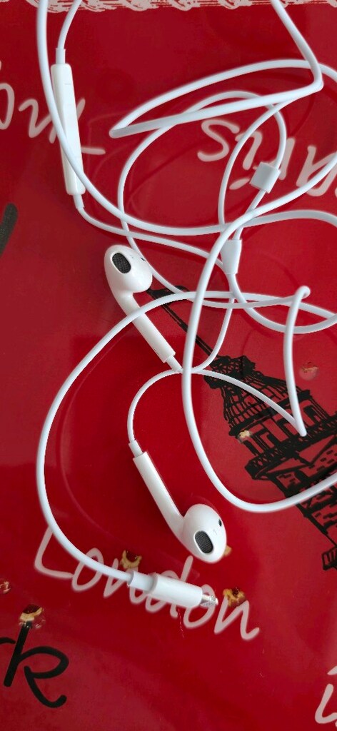 earpods - 4