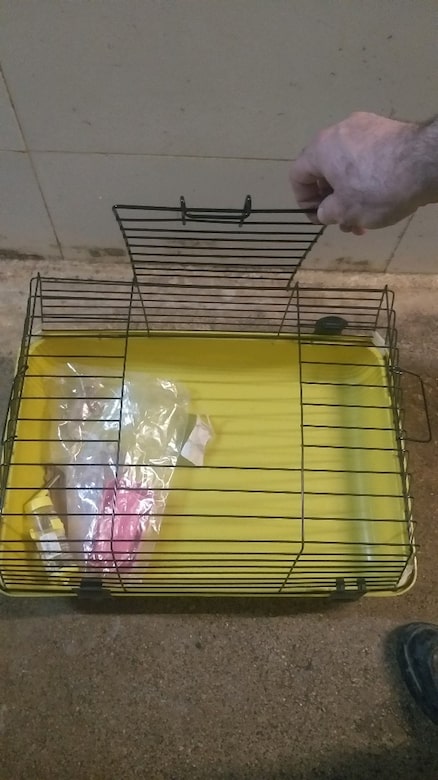 tavşan hamster kafesi sıfir - 2
