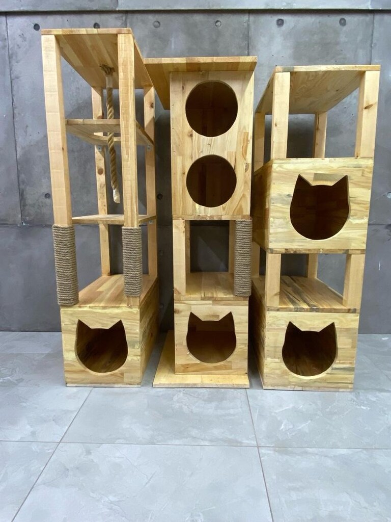 kedi platformu - 5