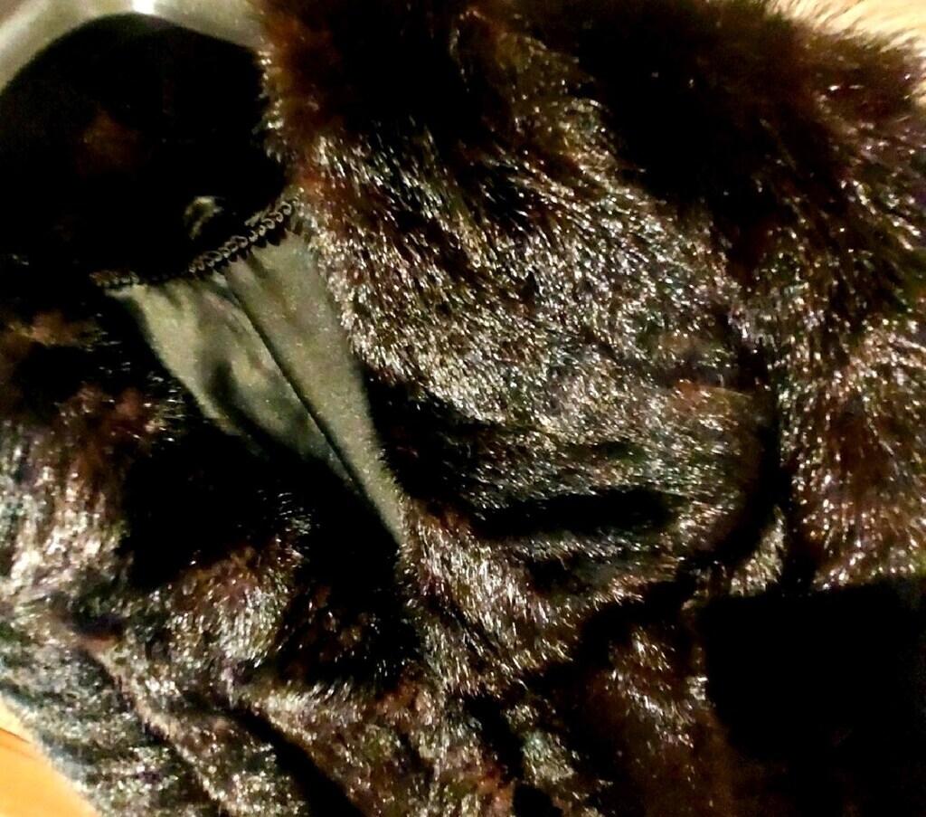 MODERN DESIGN FASHION BLACK VİZON PRIVATE LUXURY WOMEN FUR - 2