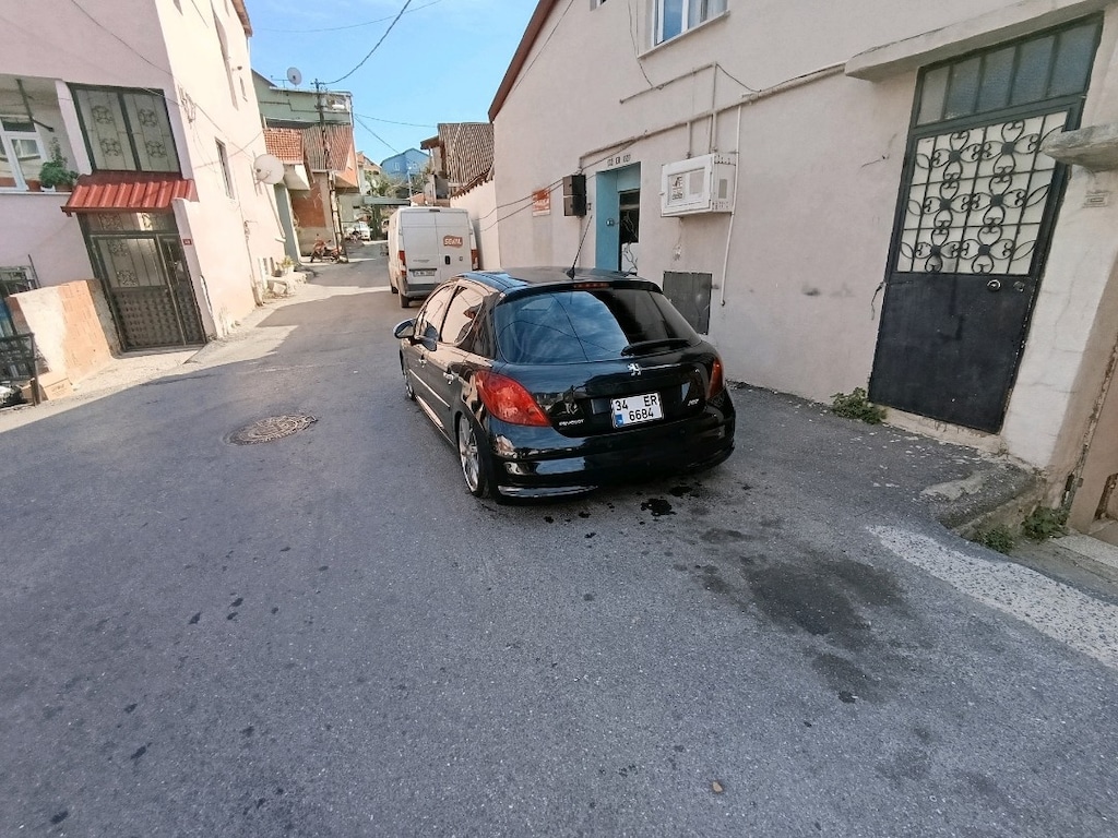 Peugeot 207 - 3