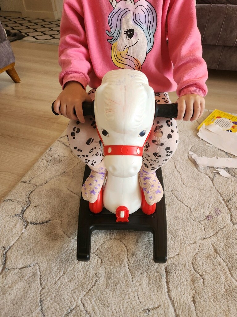 Sallanan müzikli at - 5