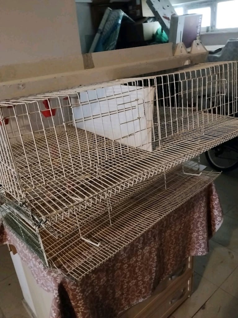 3 Adet Bıldırcın Kafesi - 3
