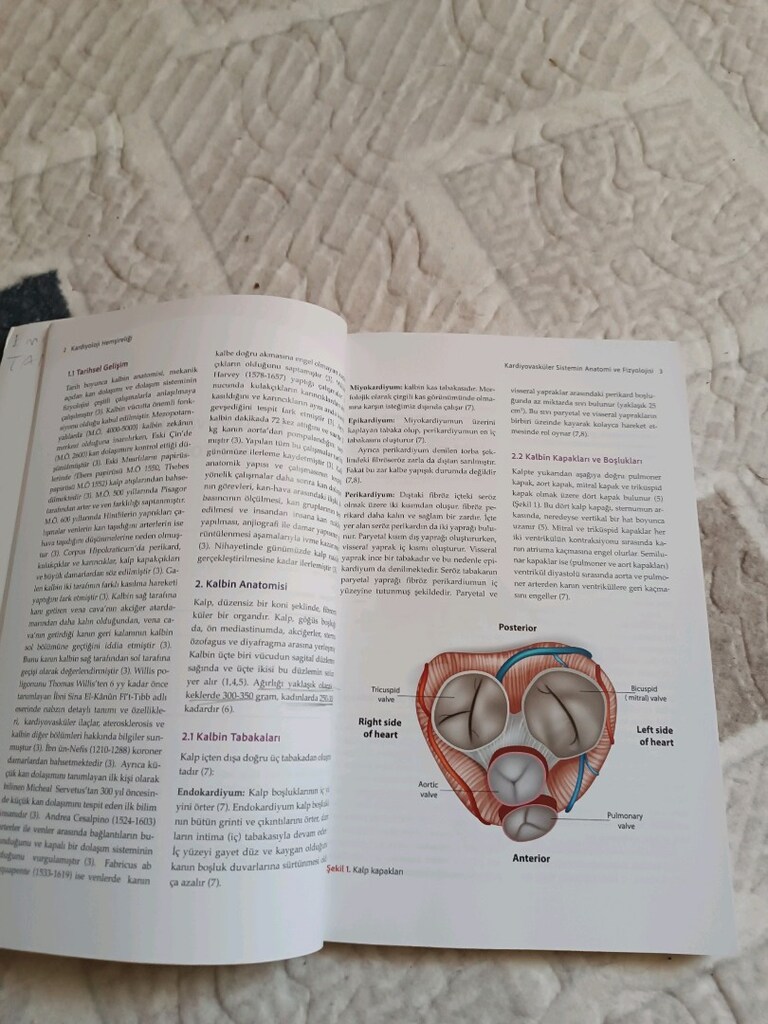 Hemşirelik ve Tıp kitabi - 5