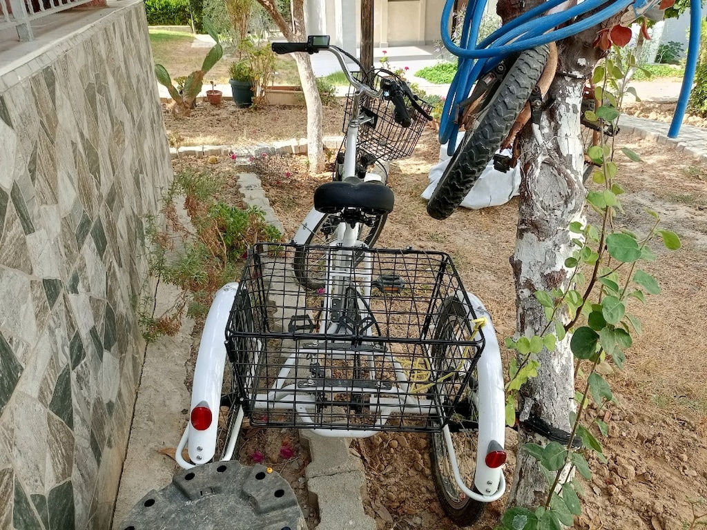 volta 3 tekerlekli elektrikli bisiklet - 5