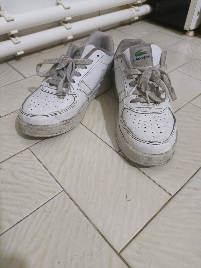 LACOSTE 37 No. Sorunsuz. - 4