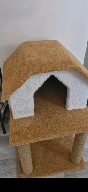 Kedi Tırmalama Evi, Yuvasi ve Diğer Malzemeler