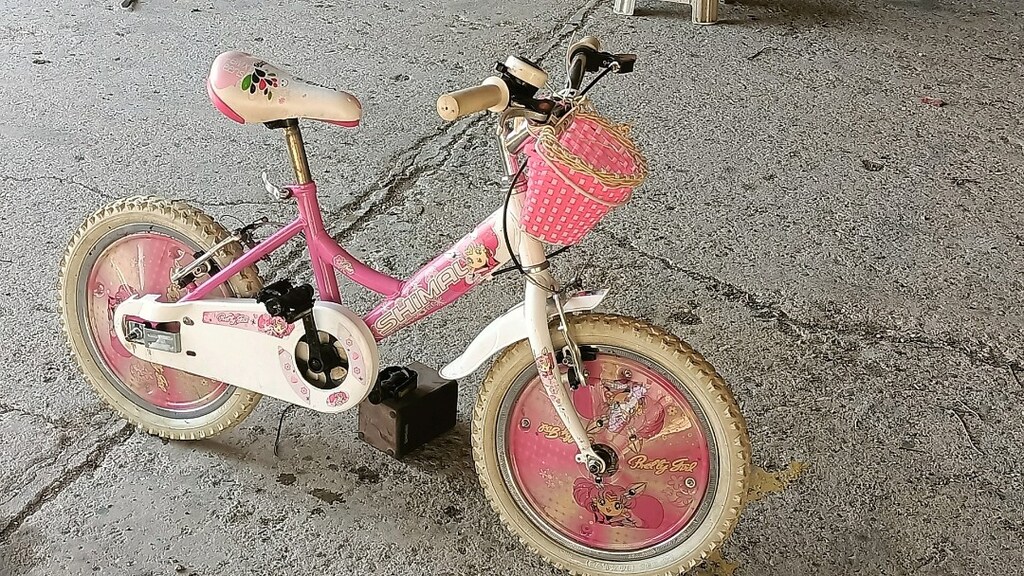 16 jant sıfır ayarında bisiklet - 5