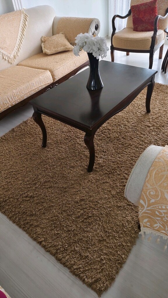 160x230cm dinarsu Shaggy halı - 4