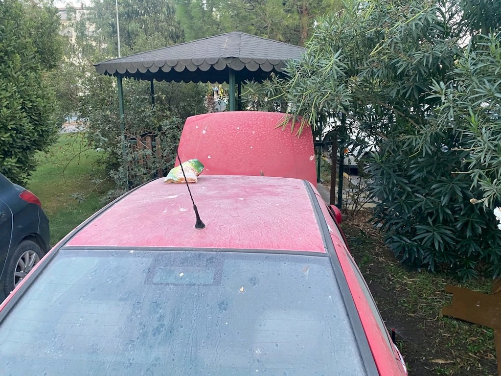 2000 Model Polo Classic Manuel LPG Benzin - 8