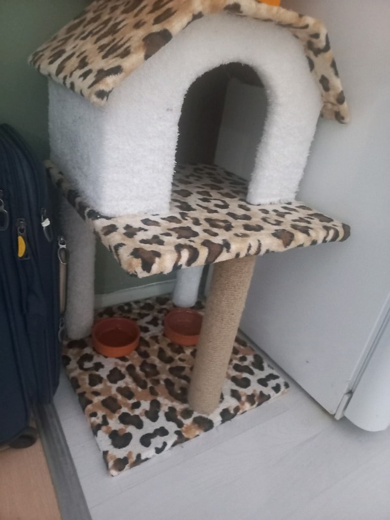 Kedi evi - 2