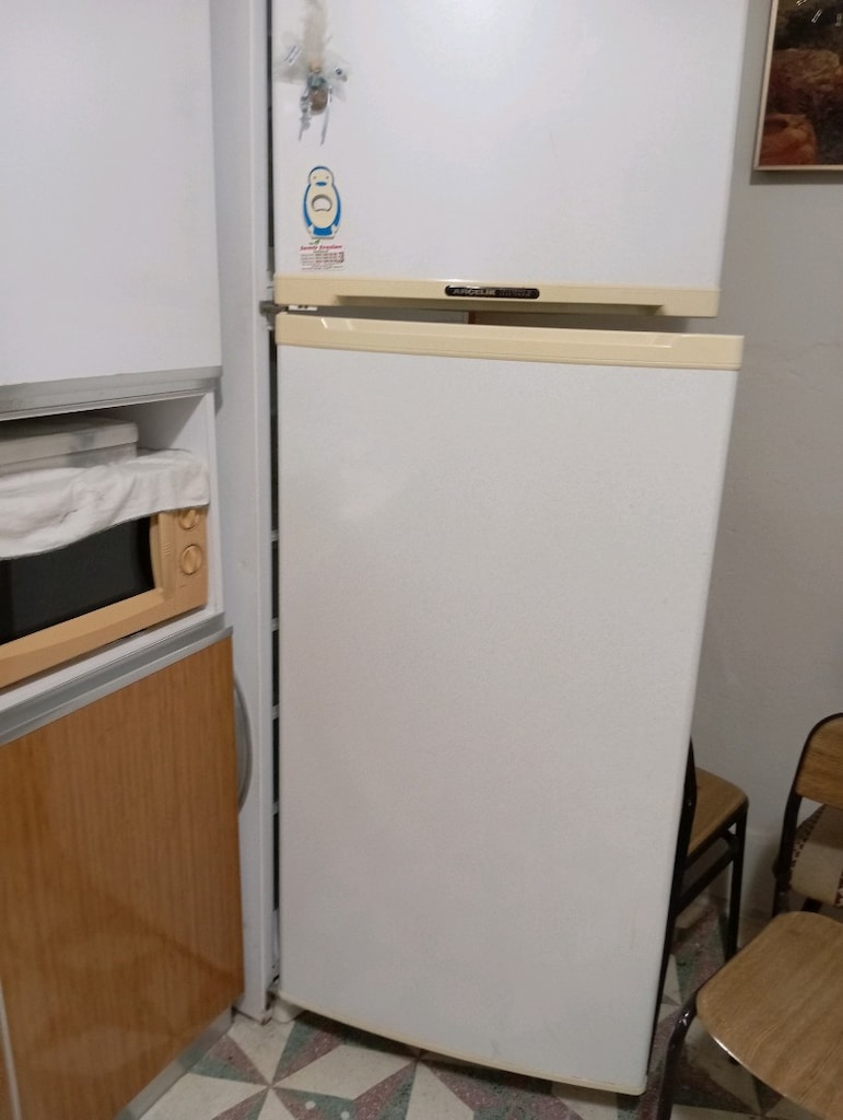ARÇELİK BUZDOLABI ANKESTRE FIRIN MİKRODALGA ÇAMAŞIR MAKİNESİ - 6
