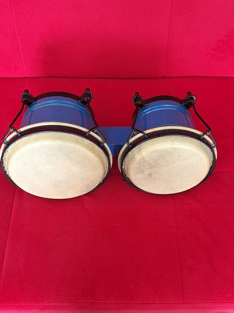 Bongo - 5