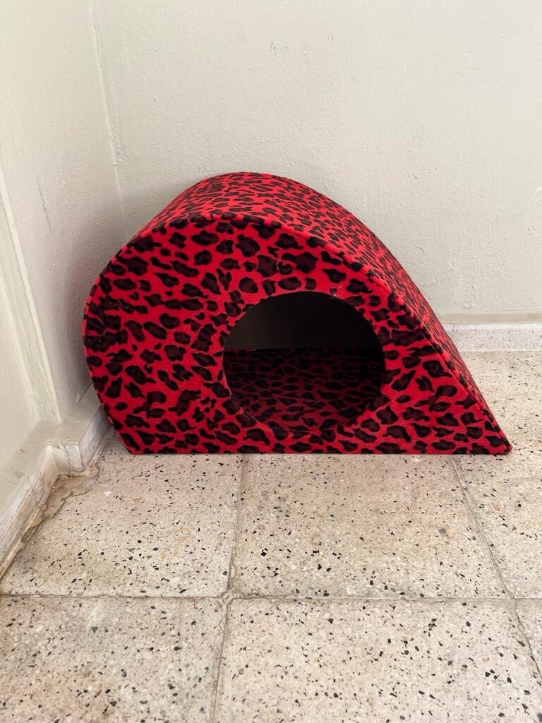 kedi evi - 3