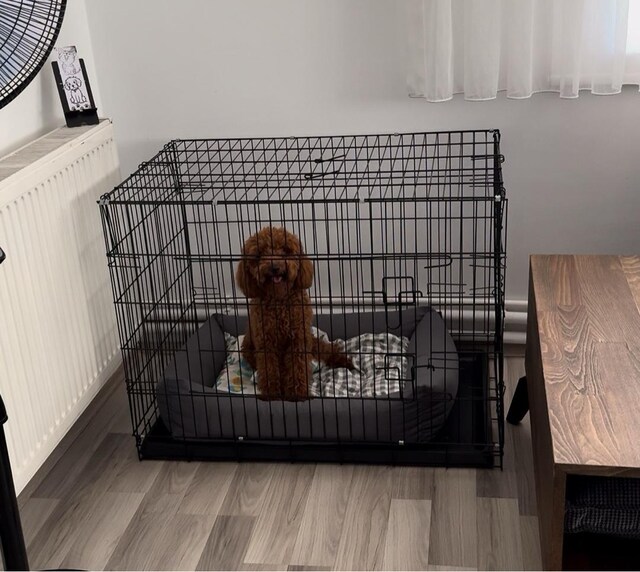 Metal Köpek Kafesi