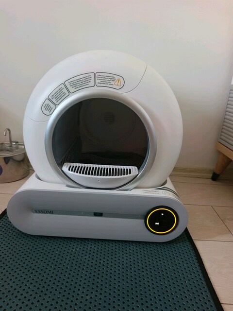 Otomatik Kedi Tuvaleti