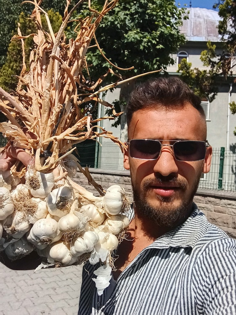 Kastamonu Taşköprü sarısmak