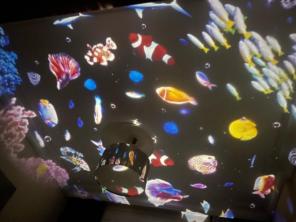 Pococo Galaxy Projektör - 9