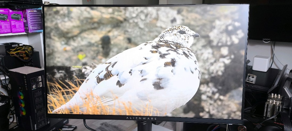alienware aw2523hf 360hz ,0.5 MS gaming monitör - 7
