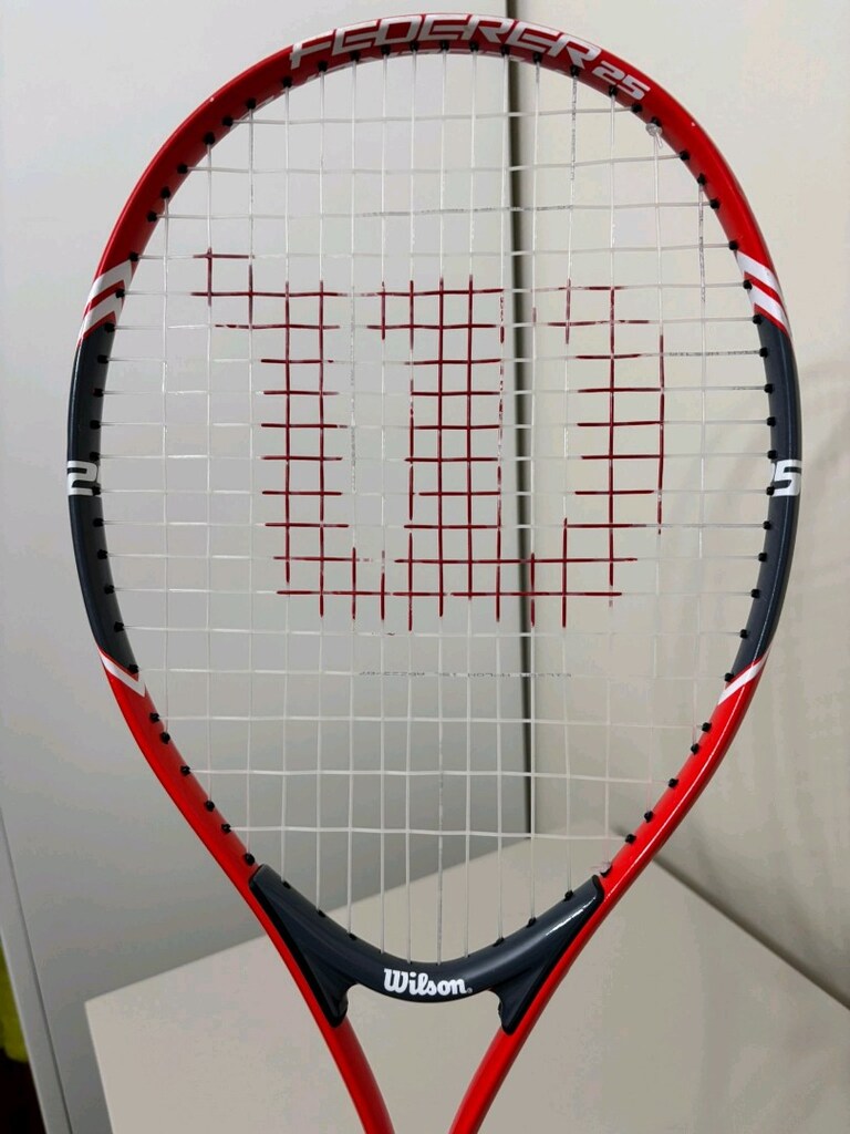 Wilson Federer 25 çocuk tenis raketi - 2