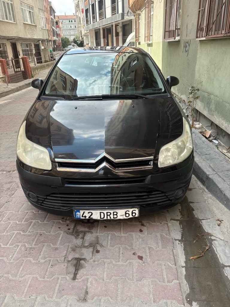 citrion bakımlı 110 hp - 12