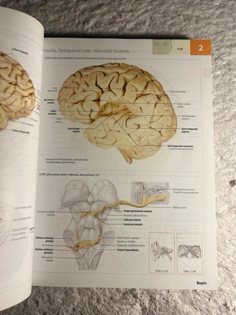 Tillmann İnsan Anatomisi Atlası 3. Baskı | FTR/Tıp - 3