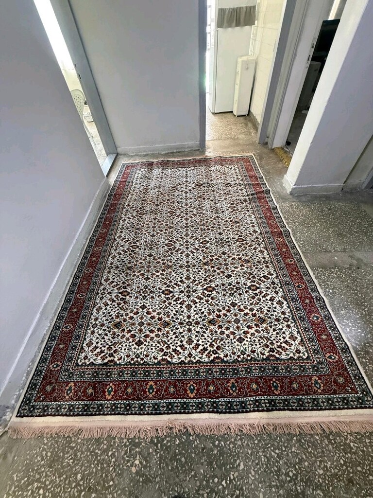 hali - 2