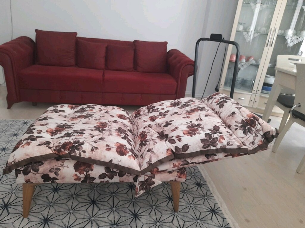 Tv izleme koltuğu (Yataklı) ve puf - 2