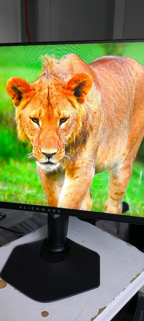 alienware aw2523hf 360hz ,0.5 MS gaming monitör - 3