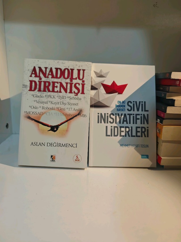 25 adetlik karışık kitap lotu. - 10