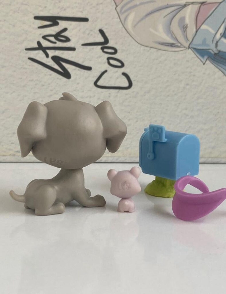 postacı köpek miniş - 5