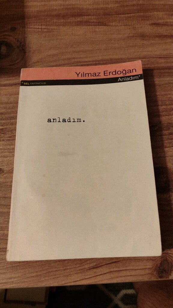 İlk basım nadir kitaplar şiir - 5