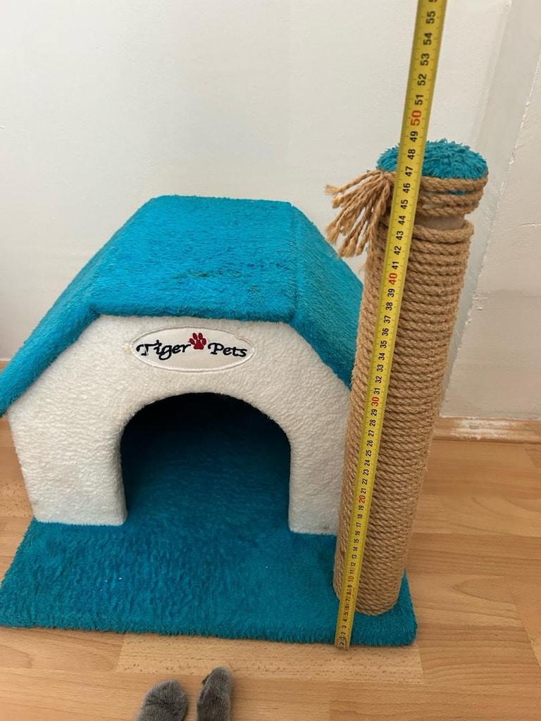 Kedi evi - 6