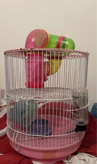 Hamster kafes