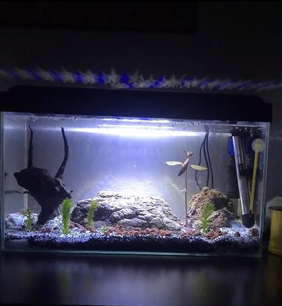 20litre akvaryum içindeki herşeyle bu fiyata yok