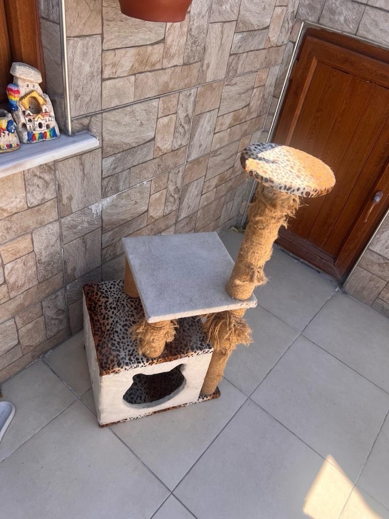 kedi evi - 3