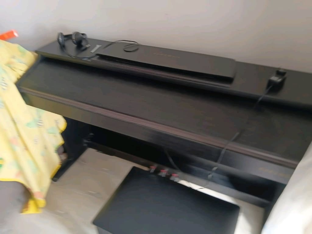 Gül ağacı piyano (Kurzweil ka130sr) - 12
