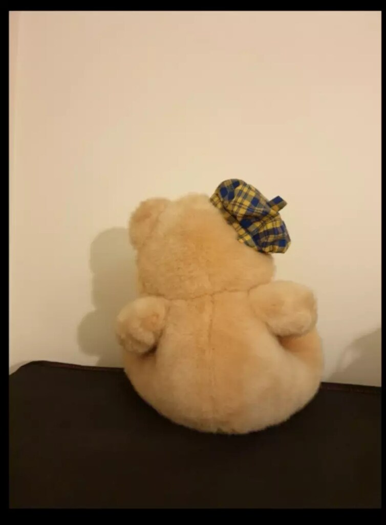 AYICIK - AYI - HEDİYE - SEVGİLİ - PELUŞ - OYUNCAK - 3