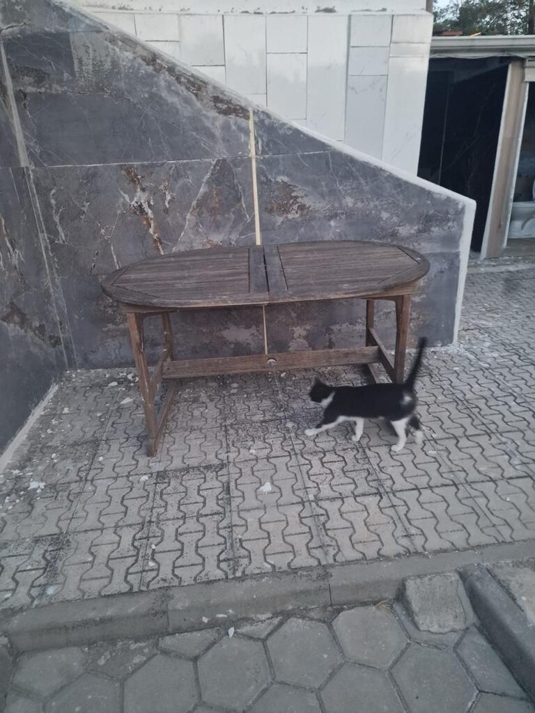Gerçek tik ağacından 8 kişilik masa - 4