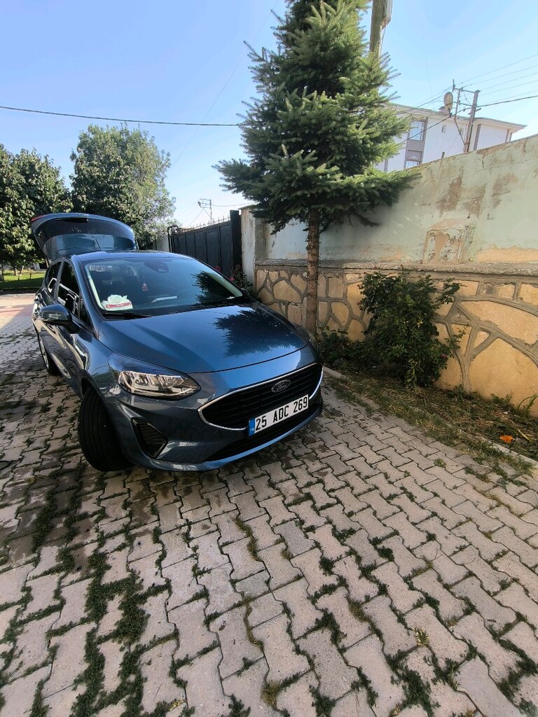 Ford Fiesta - 12