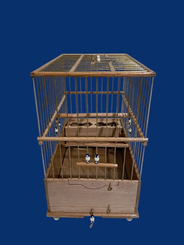 Kayın agacı saka kafesi - 6