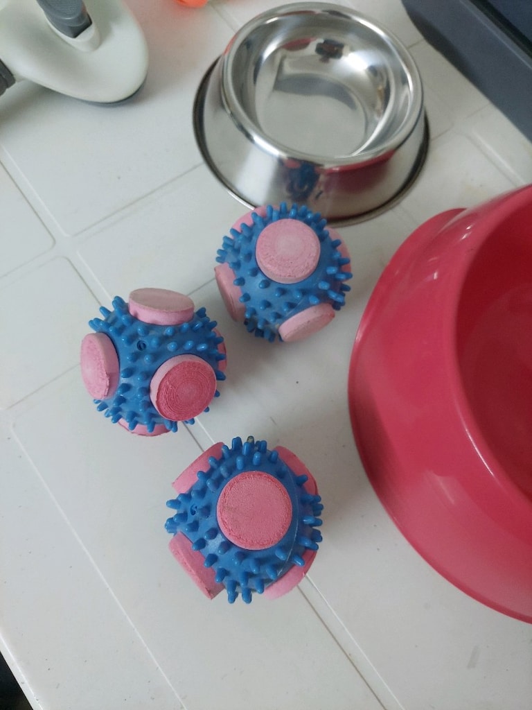 Kedi sırt çantası. Kedi tuvaleti,kedi tarağı. Kedi tablo.Kedi oyuncağı - 5