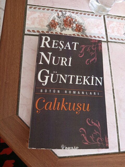 Reşat nuri güntekin kitabı