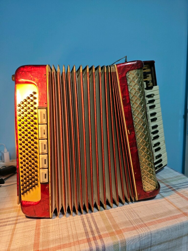 Weltmeister 120 Bass Akordeon - 6