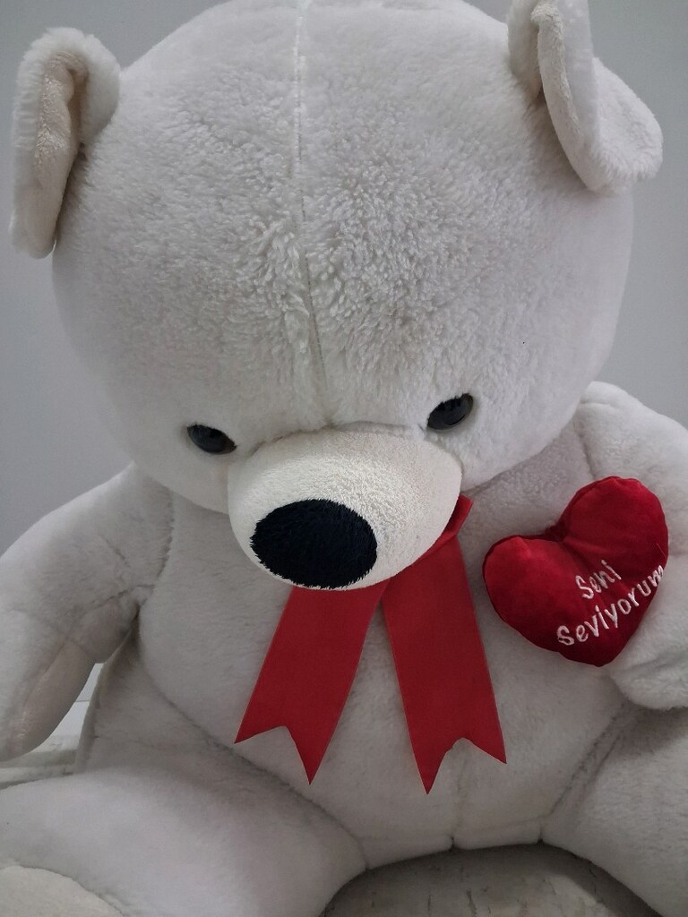 peluş 70 cm ayı - 2