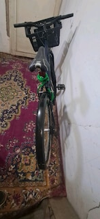 bisan bisiklet - 3