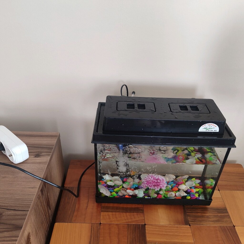 Akvaryum 4 Balik... Fotoğraf Göründügü gibi Pazarlik Payi Vardir - 3