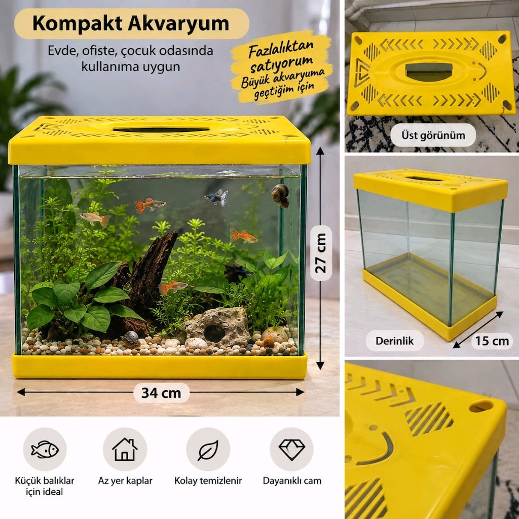akvaryum - 2